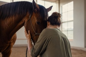 Иппотерапия: что это, польза и работа специалиста