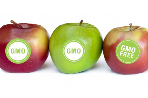 Почему продукты с ГМО вредны для человека?
